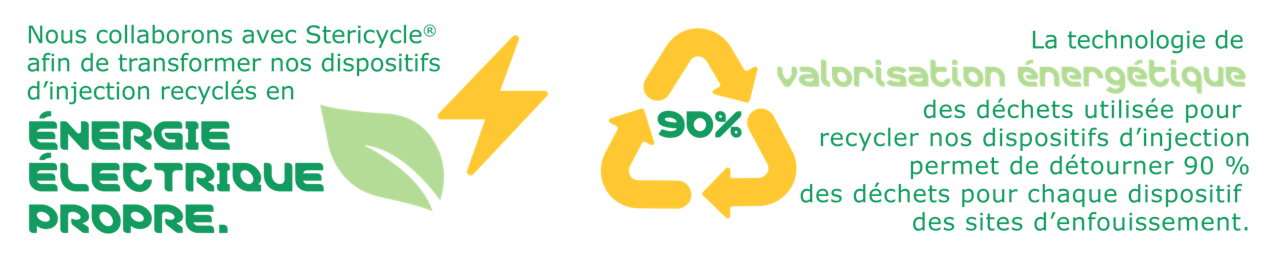 EcoProgram Icon Electric Energy